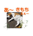 小春びより5（個別スタンプ：1）
