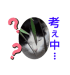小春びより5（個別スタンプ：6）