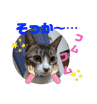 小春びより5（個別スタンプ：15）
