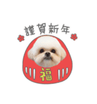 うちのコStampお正月A（個別スタンプ：2）