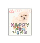 うちのコStampお正月A（個別スタンプ：3）