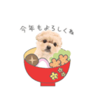 うちのコStampお正月A（個別スタンプ：5）