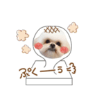 うちのコStampお正月A（個別スタンプ：7）