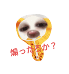 自撮り使いやすいスタンプ！（個別スタンプ：8）