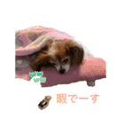かわいいハッピーの日常♡（個別スタンプ：6）