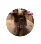 かわいいハッピーの日常♡（個別スタンプ：7）