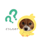 かわいいハッピーの日常♡（個別スタンプ：8）