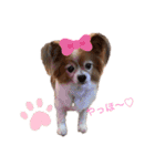 かわいいハッピーの日常♡（個別スタンプ：10）