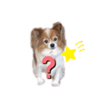 かわいいハッピーの日常♡（個別スタンプ：12）