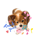 かわいいハッピーの日常♡（個別スタンプ：17）
