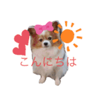 かわいいハッピーの日常♡（個別スタンプ：22）