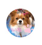 かわいいハッピーの日常♡（個別スタンプ：23）