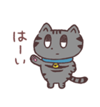 真顔の猫。（個別スタンプ：6）