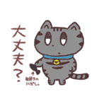 真顔の猫。（個別スタンプ：12）