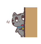 真顔の猫。（個別スタンプ：20）