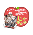 愛犬♡ハナコのスタンプ16☆（個別スタンプ：20）