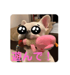 Tちゃん！！スタンプ！！（個別スタンプ：4）