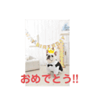 Tちゃん！！スタンプ！！（個別スタンプ：11）