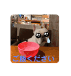 Tちゃん！！スタンプ！！（個別スタンプ：12）