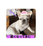 Tちゃん！！スタンプ！！（個別スタンプ：14）