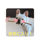 Tちゃん！！スタンプ！！（個別スタンプ：23）