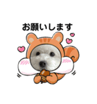 なぎちゃんのスタンプ 2（個別スタンプ：3）