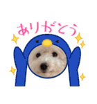 なぎちゃんのスタンプ 2（個別スタンプ：4）