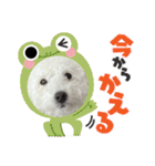 なぎちゃんのスタンプ 2（個別スタンプ：5）
