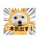 なぎちゃんのスタンプ 2（個別スタンプ：6）