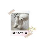 なぎちゃんのスタンプ 2（個別スタンプ：16）