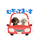 なぎちゃんのスタンプ 2（個別スタンプ：17）