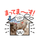 なぎちゃんのスタンプ 2（個別スタンプ：18）
