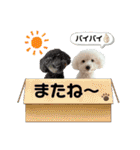 なぎちゃんのスタンプ 2（個別スタンプ：20）