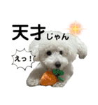 なぎちゃんのスタンプ 2（個別スタンプ：25）