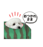 なぎちゃんのスタンプ 2（個別スタンプ：26）