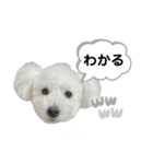 なぎちゃんのスタンプ 2（個別スタンプ：28）