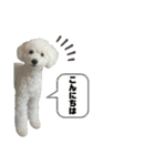 なぎちゃんのスタンプ 2（個別スタンプ：32）