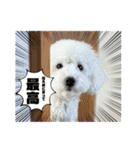 なぎちゃんのスタンプ 2（個別スタンプ：35）