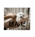 なぎちゃんのスタンプ 2（個別スタンプ：36）