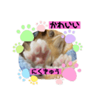 チャトラ生後3週目～5週目（個別スタンプ：4）