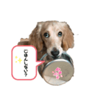 らぶぞぅの日々（個別スタンプ：7）