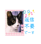 小春びより6（個別スタンプ：5）
