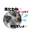 小春びより6（個別スタンプ：8）