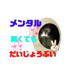 小春びより6（個別スタンプ：10）
