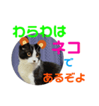 小春びより6（個別スタンプ：20）