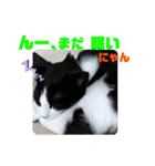 小春びより6（個別スタンプ：22）