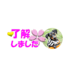ミニピン 省スペース スタンプ3（個別スタンプ：1）