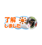ミニピン 省スペース スタンプ3（個別スタンプ：2）