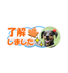 ミニピン 省スペース スタンプ3（個別スタンプ：3）