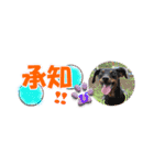 ミニピン 省スペース スタンプ3（個別スタンプ：8）